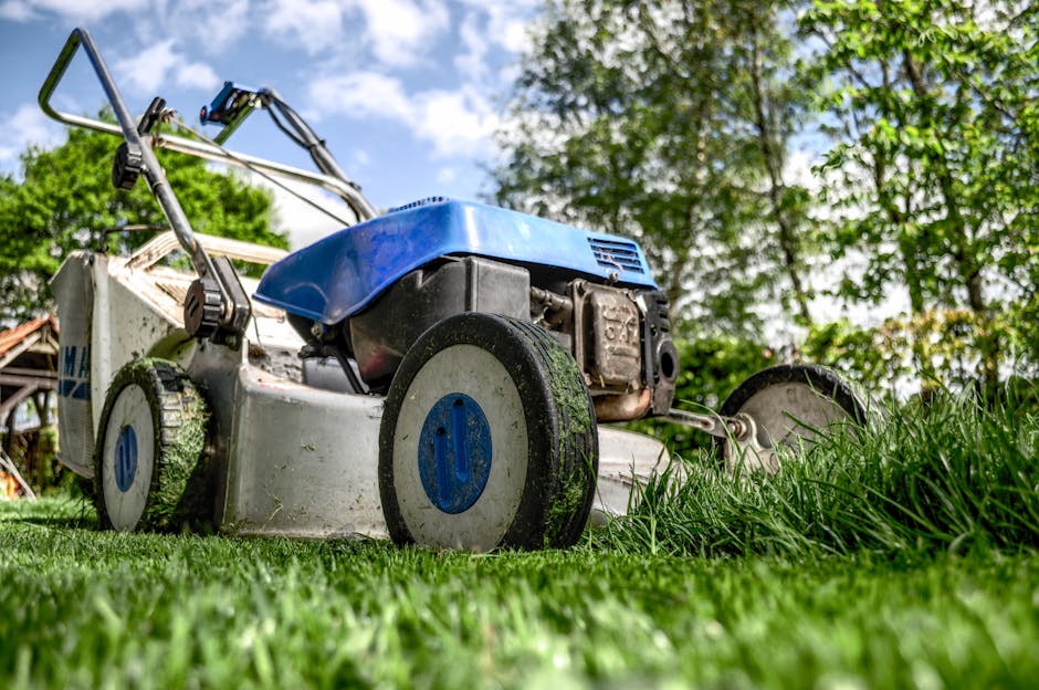 A well-maintained garden with a neatly mowed lawn, featuring large, rounded topiary bushes and trees with lush green foliage. Two metal ladders and a hedge trimmer on a stand are positioned near the t